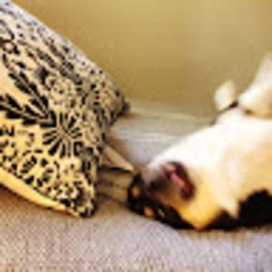 Meet your Posher, Stephen